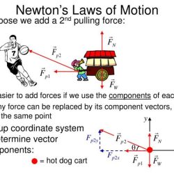 Joshua's law unit 3 exam