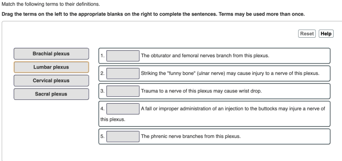 Match the following terms with their definitions.