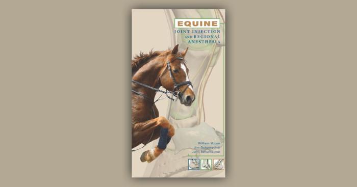 Equine joint injection and regional anesthesia