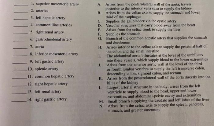 Definitions terms match following their