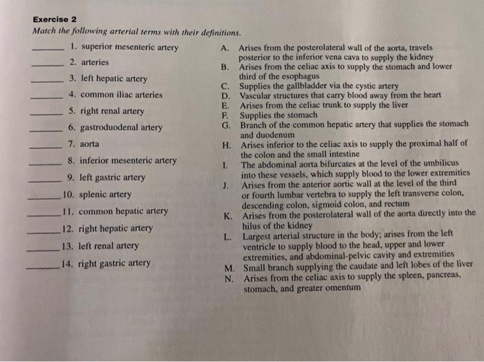 Definitions terms match following their