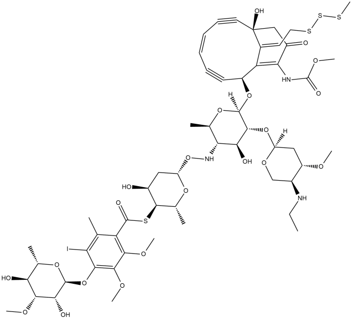 Calicheamicin gamma-1 the beastly natural product