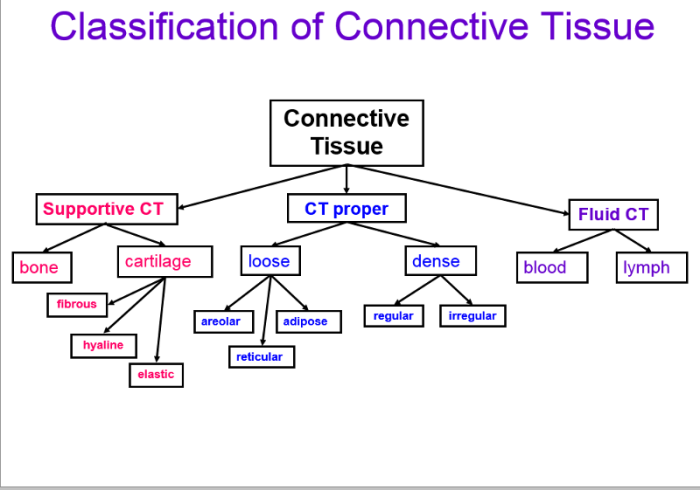 Constructing a tissue identification concept map